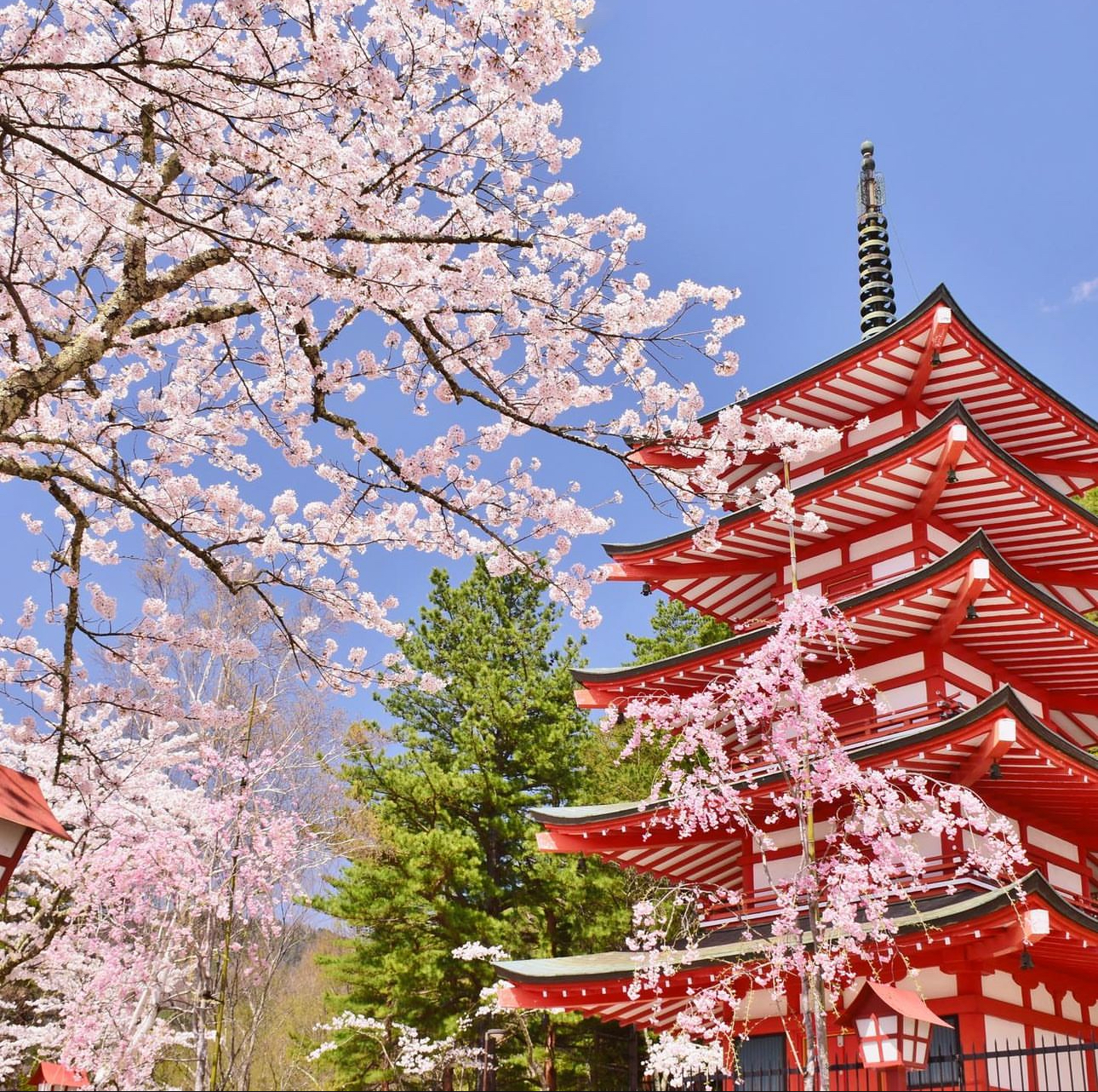 Read more about the article Discovering Tokyo